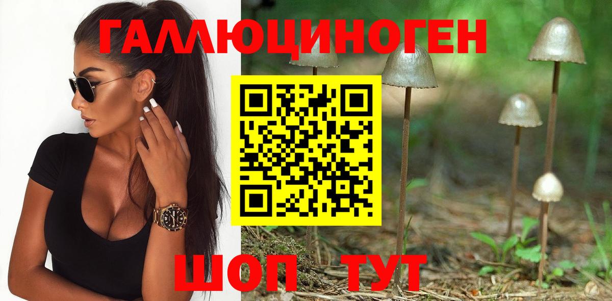 Будённовск  Галлюциногенные грибы Magic Shrooms  Вход с VPN  Псилоцибиновые грибы MAGIC MUSHROOMS 