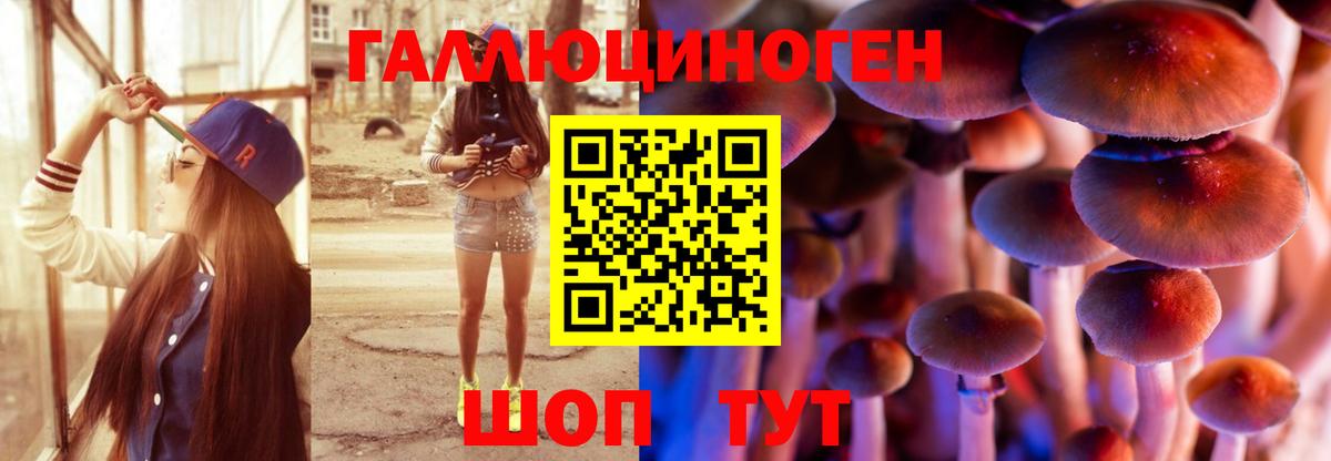 Псилоцибиновые грибы Psilocybe Будённовск